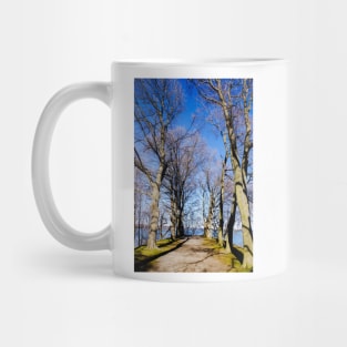 Bay view from Dundurn Castle Mug